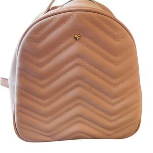 Chevron Pattern Blush Small Backpack